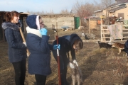 Акция «Помоги своим друзьям»