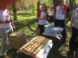На безымянной высоте
