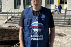 Озеленение территории