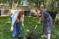 В ОрИПС появилась Аллея Славы