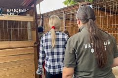 Добро в действии