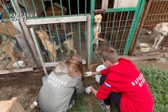 Добро в действии