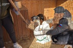 Всемирный день животных