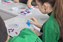 Региональный этап чемпионата по профессиональному мастерству «Профессионалы»